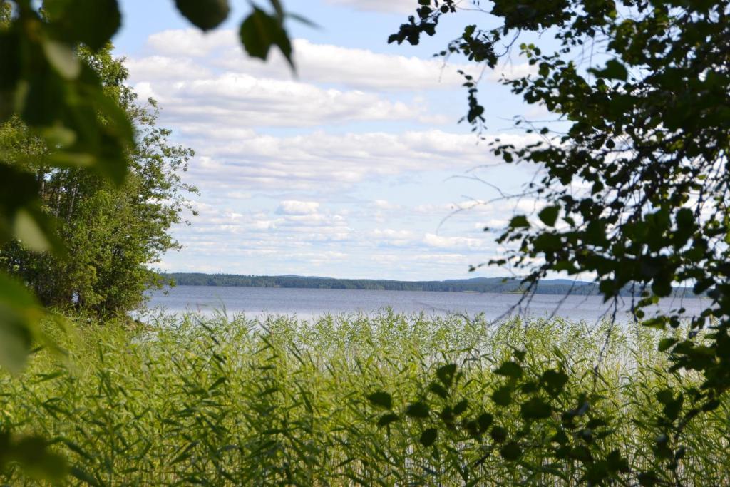Kokonvaara Holiday Home Tuomarniemi الغرفة الصورة